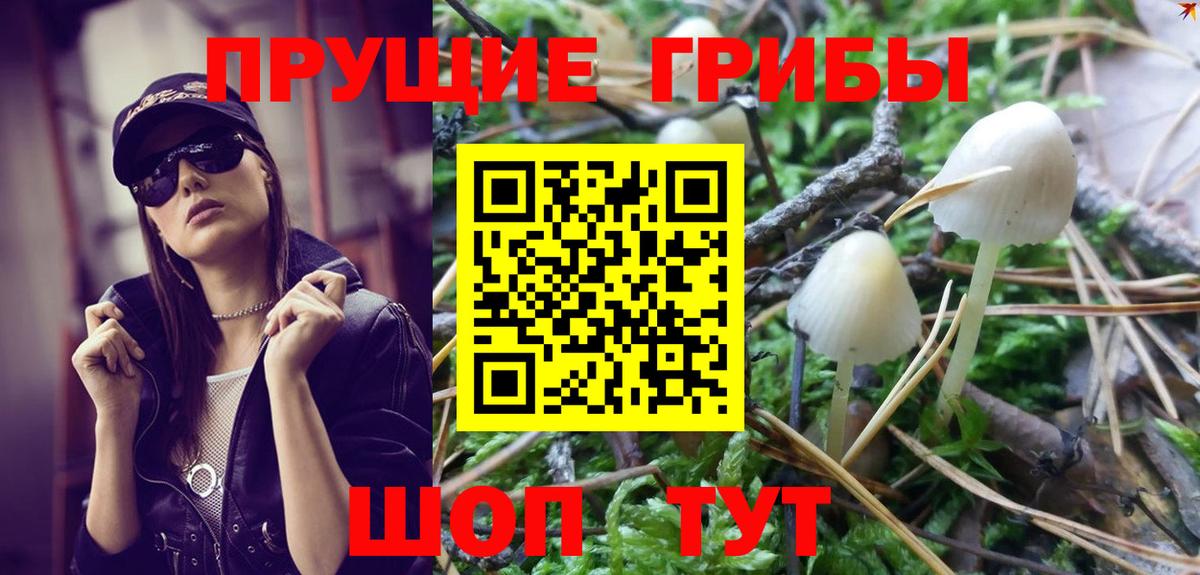 Псилоцибиновые грибы Magic Shrooms Заводоуковск
